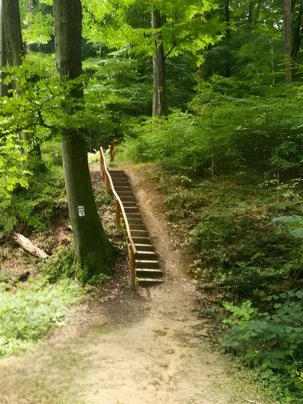 Csiga túra tanösvény