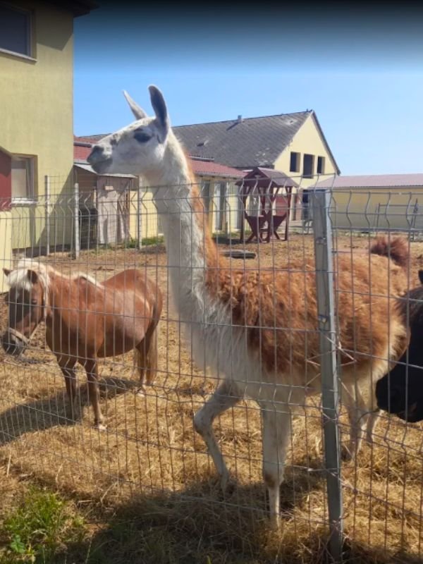 Garabonciás Farm és 7 Vezér Kalandpark