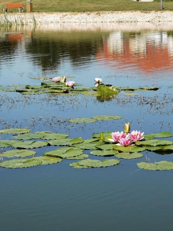 Termáltó és ökopart