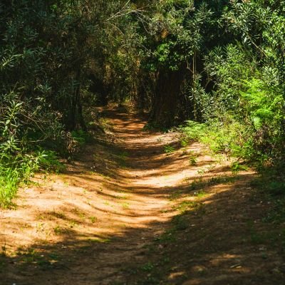 Zalakaros kirándulás