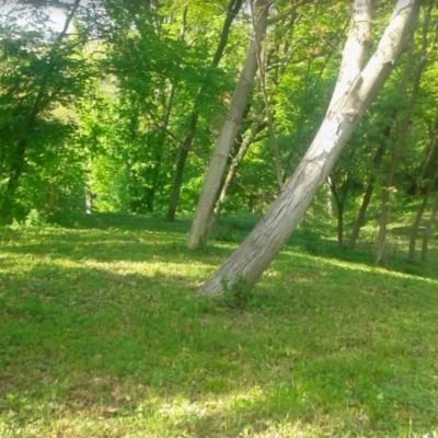 Zalakarosi arborétum