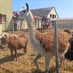 Garabonciás Farm és 7 Vezér Kalandpark