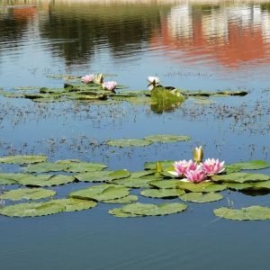 Termáltó és ökopart